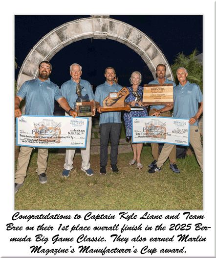 Pelagic Rockstar Tournament 2025 Winners-Team Game Plan