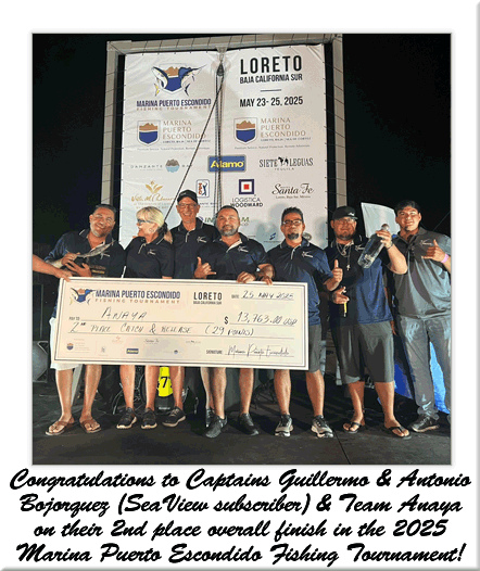 Pelagic Rockstar Tournament 2025 Winners-Team Game Plan
